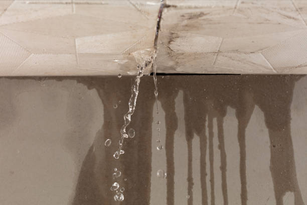 Professional Structural Drying technician working in Bath, MI